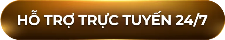 hỗ trợ trực tuyến 24/7